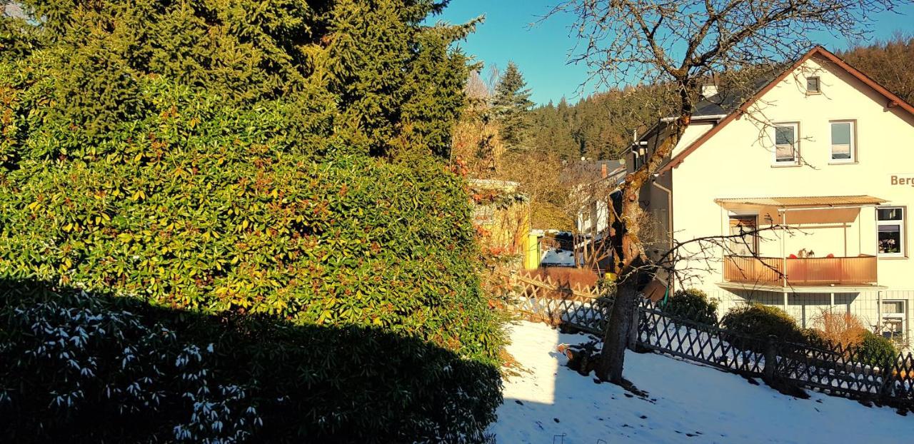 Villa Helvetia Bad Elster Exterior photo