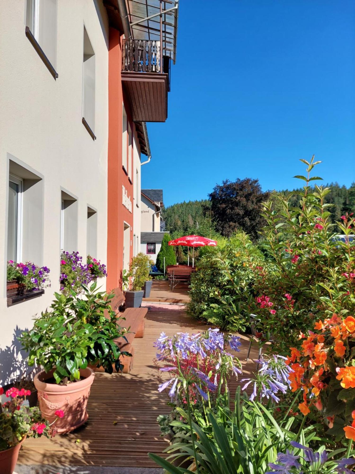 Villa Helvetia Bad Elster Exterior photo