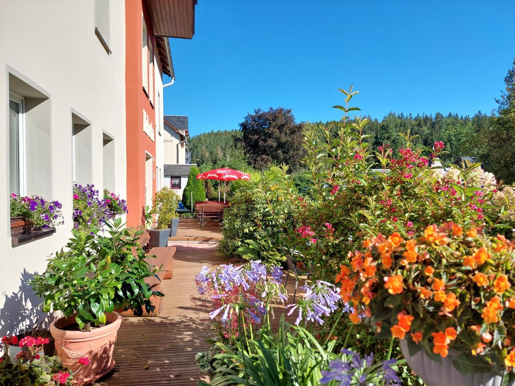 Villa Helvetia Bad Elster Exterior photo
